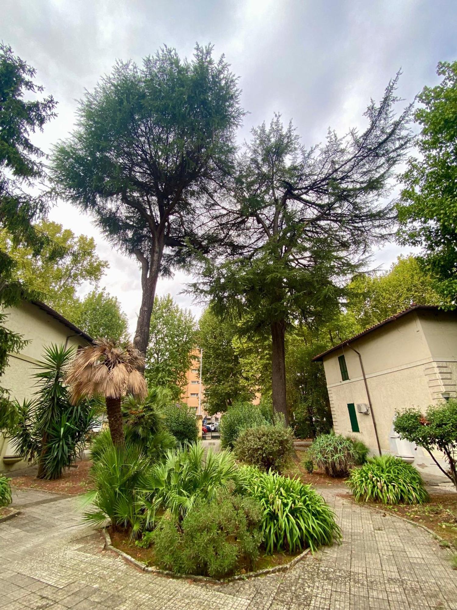 דירות רומא A Casa Con Greta מראה חיצוני תמונה